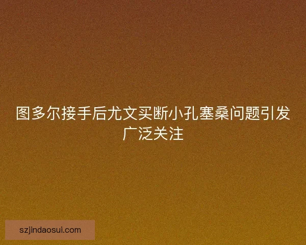图多尔接手后尤文买断小孔塞桑问题引发广泛关注