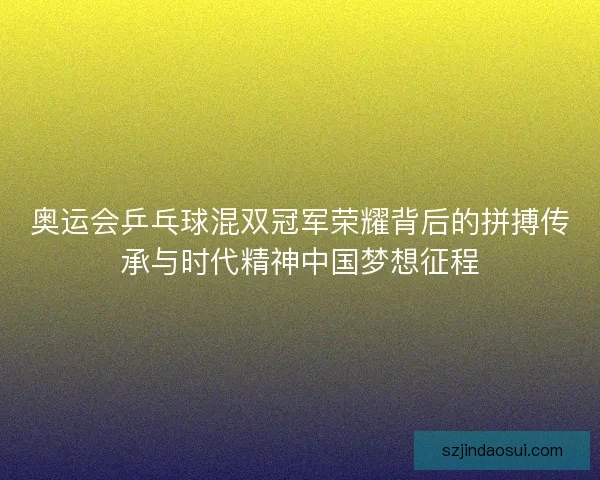 奥运会乒乓球混双冠军荣耀背后的拼搏传承与时代精神中国梦想征程