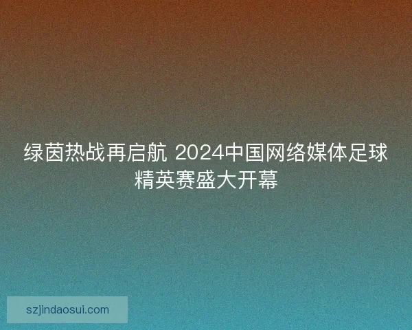 绿茵热战再启航 2024中国网络媒体足球精英赛盛大开幕