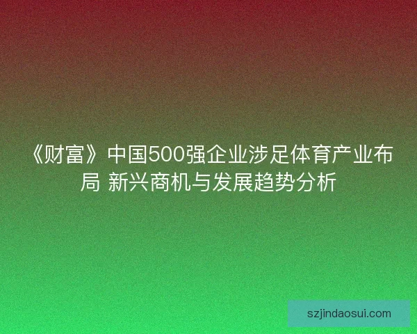 《财富》中国500强企业涉足体育产业布局 新兴商机与发展趋势分析